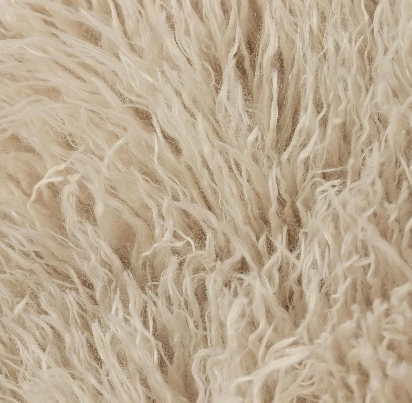 WhatsApp Image 2025-12-22 at 00.30.29